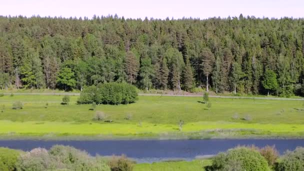 Prachtig Uitzicht Het Natuurlandschap Kleine Rivier Langs Asfaltweg Scandinavië Zweden — Stockvideo