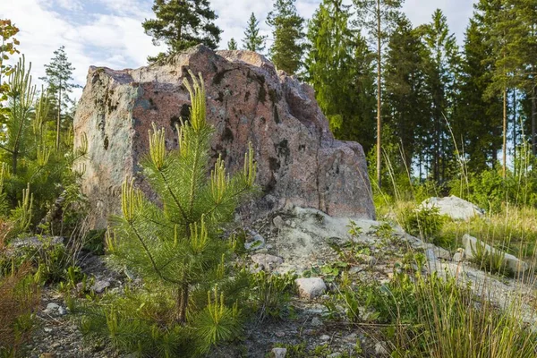 Prachtig Uitzicht Ruw Rotsachtig Bosbodemlandschap Prachtige Outdoor Natuur Landschap Achtergronden — Stockfoto