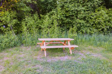 Arka planda orman ağaçlarıyla izole edilmiş, çayırdaki banklı ahşap masa manzarası. Güzel yaz yeşili doğa manzarası. İsveç. Avrupa.