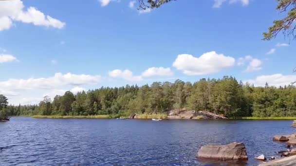 Lago Con Línea Costa Rocosa Superficie Agua Azul Árboles Verdes — Vídeo de stock