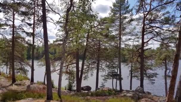  Lac avec ligne de côte rocheuse, surface d'eau bleue et arbres verts sur ciel bleu avec fond de nuages blancs. Suède, 