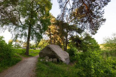 Ormandaki patikanın yakınlarında büyük, güzel bir kaya parçası. Arka planda büyük uzun ağaçlar ve mavi gökyüzü. İsveç. Avrupa.