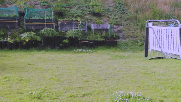 Yaz Günü Özel Arka Bahçenin Genel Görünümü Tarafta Amatör Futbol — Stok video