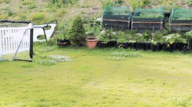 Yaz günü özel arka bahçenin genel görünümü. Amatör futbolda önde, bahçe bitkilerinde plastik kaplarda ve palet tasmalarında arka grupta gol.