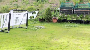 Yaz günü özel arka bahçenin genel görünümü. Ön tarafta amatör futbol, arka planda plastik kaplar ve palet tasmalarla bahçe bitkileri..