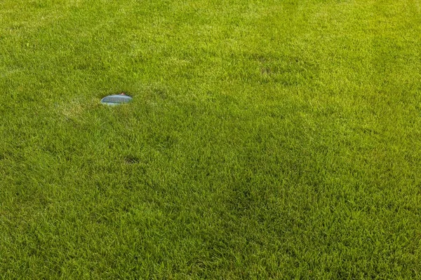 Vista Perto Grama Verão Com Rega Automática Bela Natureza Fundo — Fotografia de Stock