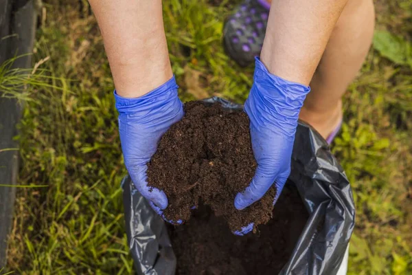 Närbild Kvinnliga Händer Blå Handskar Som Håller Krukjord Trädgårdskoncept — Stockfoto