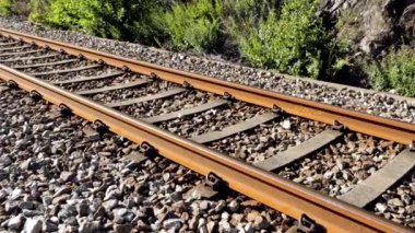 Yaz günü demiryolu manzarası var. Ulaşım kavramı arka planı.