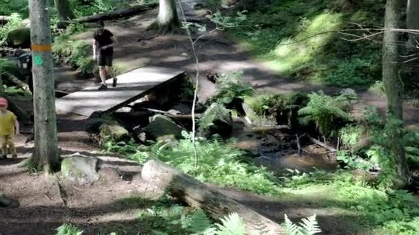 Vista Perto Grupo Pessoas Floresta Passando Por Pequena Ponte Sobre — Vídeo de Stock