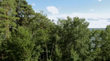 Tepeden aşağıya yeşil ağaçların arasından güzel doğa manzarası. Hareket halindeki arabalar ve mavi arka planda Baltık deniz yüzeyi olan otoyol.