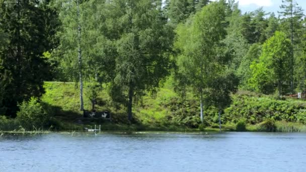 晴れた夏の日に湖で美しい景色 豪華なカラフルな自然背景 スウェーデン ヨーロッパ — ストック動画