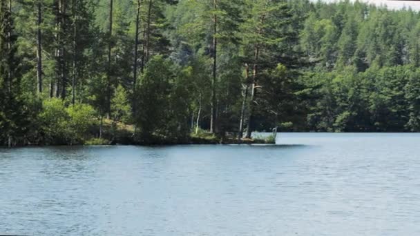 Hermosa Vista Sobre Lago Soleado Día Verano Hermosos Fondos Coloridos — Vídeo de stock