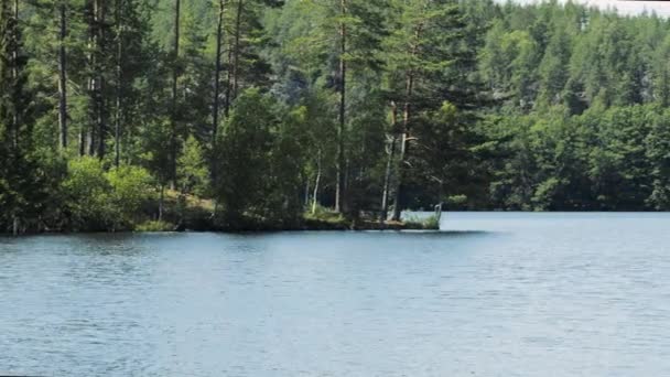 Bella Vista Sul Lago Nella Soleggiata Giornata Estiva Splendidi Sfondi — Video Stock