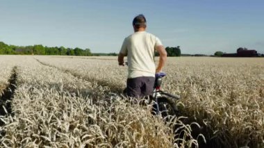 Bisikletli bir adamın buğday tarlasında yürüdüğünü görmek. Buğday tarlası mavi gökyüzü ve yeşil ağaçlarla birleşir..