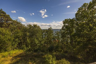 Baltık Denizi manzaralı güzel doğa manzarası. Mavi gökyüzündeki yeşil orman ağaçlarının tepeleri ve güneşli yaz gününde beyaz bulutlar..