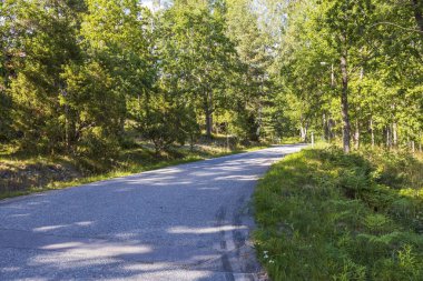 Güzel doğa manzarası. Asfalt yolu yeşil orman ağaçlarıyla çevrili. .