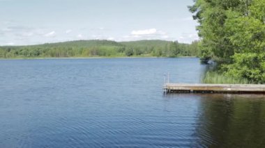 Güneşli yaz gününde güzel bir göl manzarası. Mavi göl su yüzeyi yeşil orman ağaçları ve mavi gökyüzü arkaplanı. 