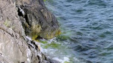 Baltık Denizi 'nin taşlara çarpan muhteşem manzarası. İsveç.