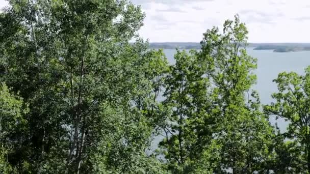 Prachtig Uitzicht Het Oostzeelandschap Door Bosbomen Een Zomerse Zonnige Dag — Stockvideo