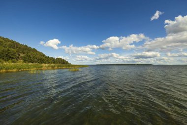 Beyaz bulutlarla kaplı mavi gökyüzü üzerinde güzel bir Baltık deniz manzarası. Güzel yaz doğası geçmişi. İsveç, Avrupa.