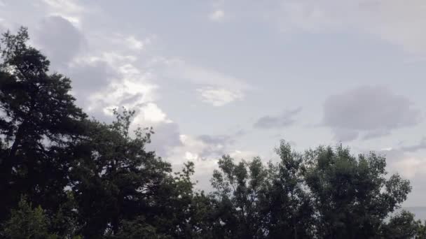 Prachtig Uitzicht Lichtblauwe Lucht Met Witte Wolken Toppen Van Groene — Stockvideo