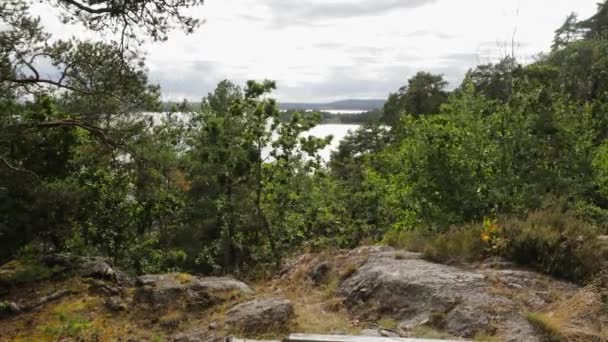 Bela Vista Montanha Para Paisagem Mar Báltico Através Árvores Florestais — Vídeo de Stock