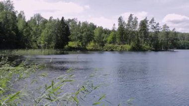 Güzel bir yaz gününde güzel bir göl manzarası. İsveç.