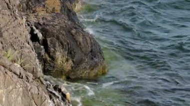 Baltık Denizi 'nin taşlara çarptığı güzel bir manzara. Muhteşem doğa manzarası. İsveç.