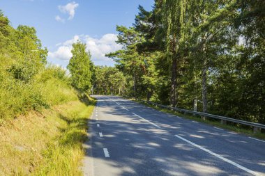 Güzel bir yaz manzarası. Asfalt yolu yeşil ağaçlarla çevrili ve mavi gökyüzünde beyaz bulutlu bitkiler.