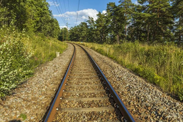 Uitzicht Een Deel Van Spoorweg Zomerdag Achtergrond Van Het Vervoersconcept — Stockfoto