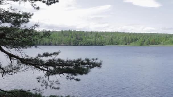 Όμορφη Θέα Του Τοπίου Της Λίμνης Μέσα Από Πεύκο Υποκατάστημα — Αρχείο Βίντεο