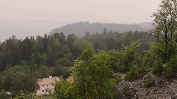 灰色の空に対する大雨の間の木や民家のトップの素晴らしい景色 自然の美しい背景 — ストック動画