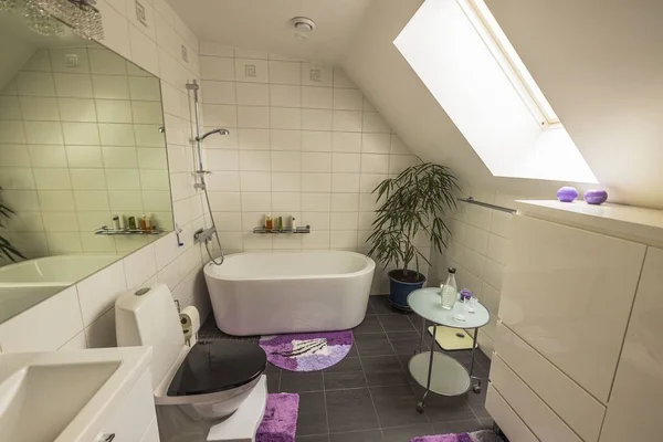 Evin Içinde Güzel Bir Banyo Manzarası Var Çiçekli Çatı Penceresi — Stok fotoğraf