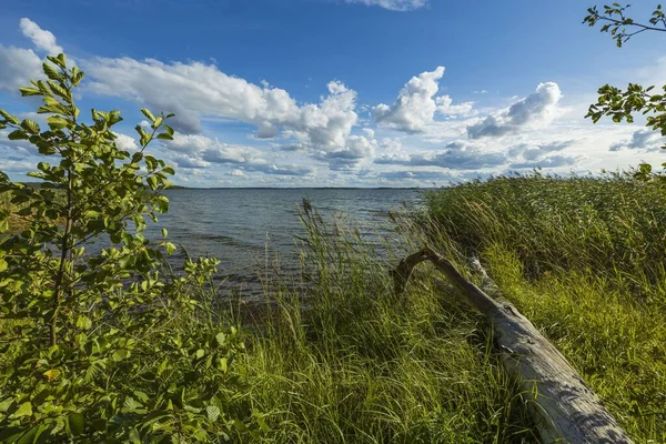 Чудовий Вид Балтійське Море Літній День Поверхня Глибокої Блакитної Морської — стокове фото