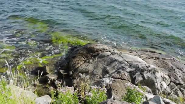발트해가 돌들에 부딪치는 장면이 아름다운 동작으로 보인다 경관이군 스웨덴 — 비디오