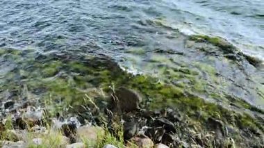 Kayalık sahil şeridi üzerindeki doğal manzarayı kapat. Yeşil yosunlarla kaplı kayaların üzerinde dalgalar yuvarlanıyor.