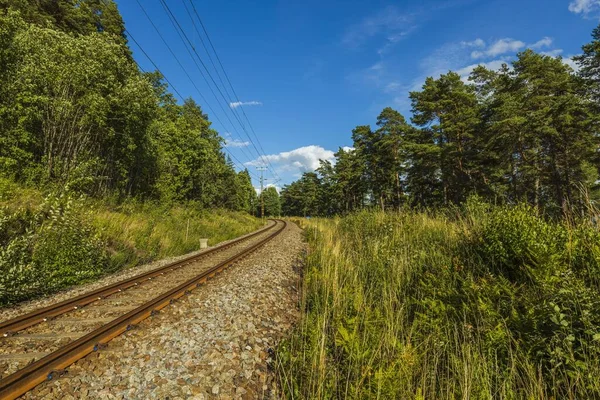 Uitzicht Een Deel Van Spoorweg Zomerdag Achtergrond Van Het Vervoersconcept — Stockfoto