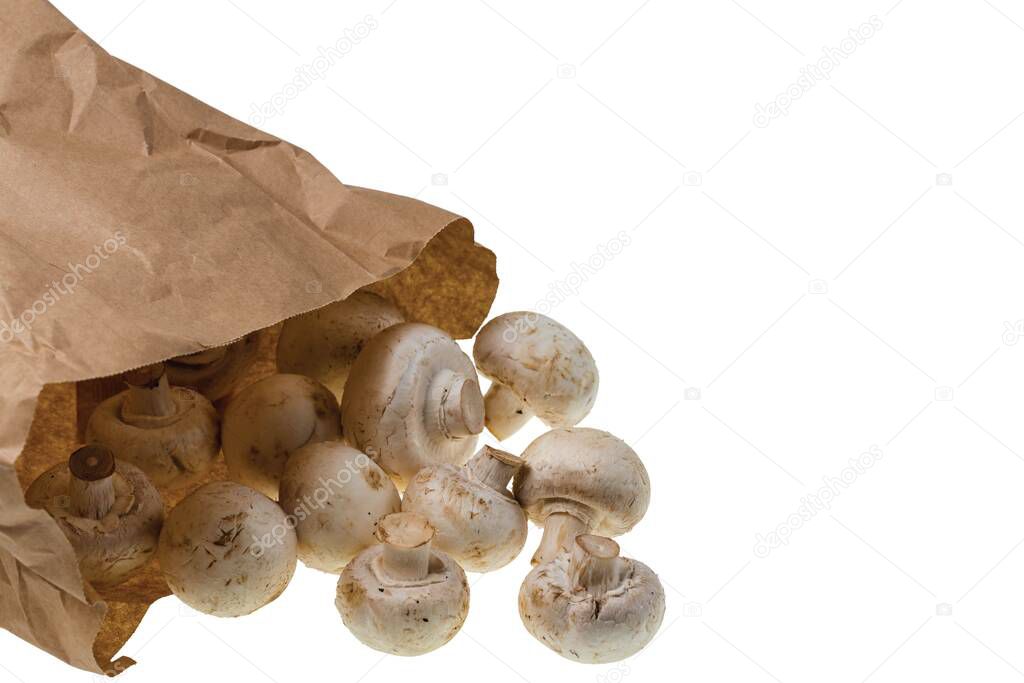 Close up view of champignon mushrooms in paper bag on white background. Cooking. Kitchen. Food..