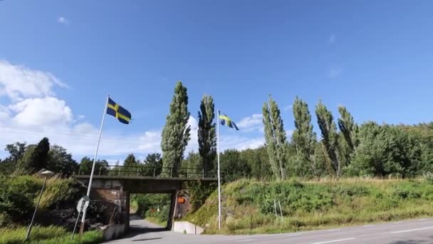 Шведские Флаги Машут Ветром Зелеными Лесами Голубым Небом Фоне Белых — стоковое видео