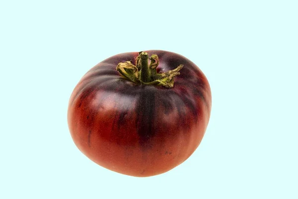 关闭宏观视图成熟的红色西红柿分离的蓝色背景 有机蔬菜概念 — 图库照片