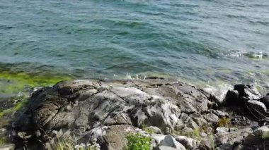 Baltık Denizi 'nin taşlara çarptığı güzel bir manzara. Muhteşem doğa manzarası. İsveç.