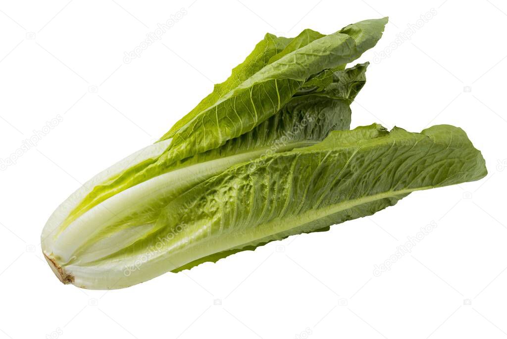 Close up view of fresh green leaf salad isolated on white background. Healthy food background.