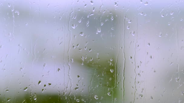 Tutup Tilikan Makro Tetesan Hujan Yang Berjalan Pada Kaca Jendela — Stok Video