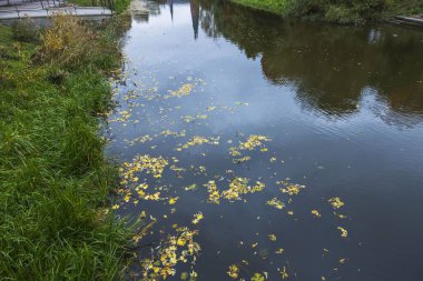 Güzel sonbahar manzarası. Göl yüzeyinde düşen sarı yapraklar şehri yansıtıyor..