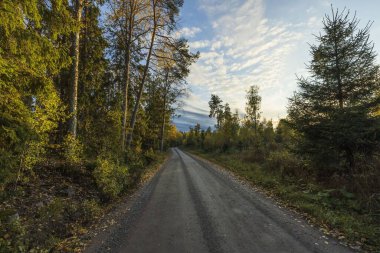 Sonbahar ormanlarında yolda inanılmaz bir güzellik mavi gökyüzünde beyaz bulutlarla. Güzel sonbahar doğası..