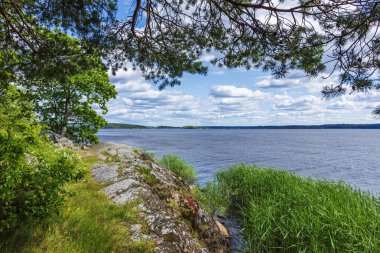 Suyun üzerinde sazlıklar, ağaçlar, çalılar, çam dalları ve orman arka planıyla kayalık göl manzarası çok güzel. İsveç.