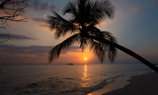 Gün batımında Maldivler. Deniz, bulutlar, siluetler. İlkbahar, 2019