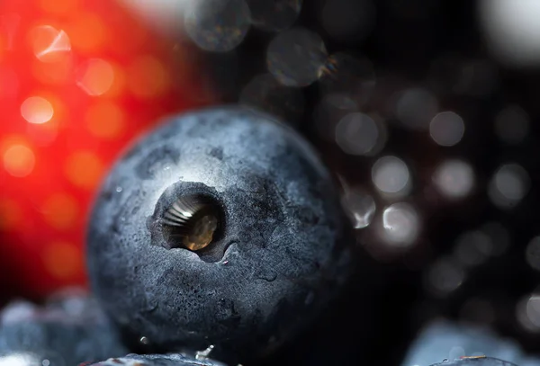 Böğürtlen Çalılardan ve otlardan oluşan küçük sulu bir meyve..