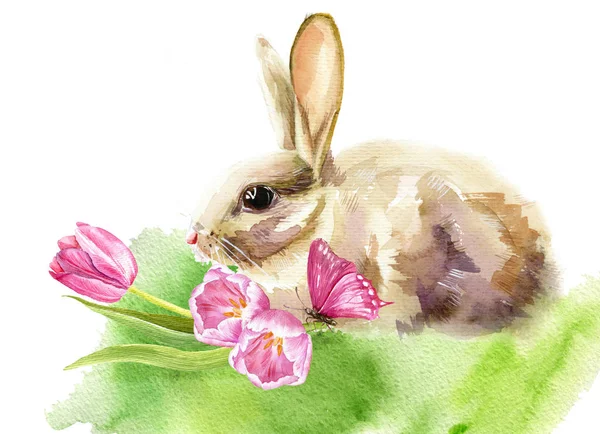 Gotowy Ilustracja Królik Tulipany Akwarela Wysokiej Jakości Ilustracji Kartka Wielkanocna — Zdjęcie stockowe