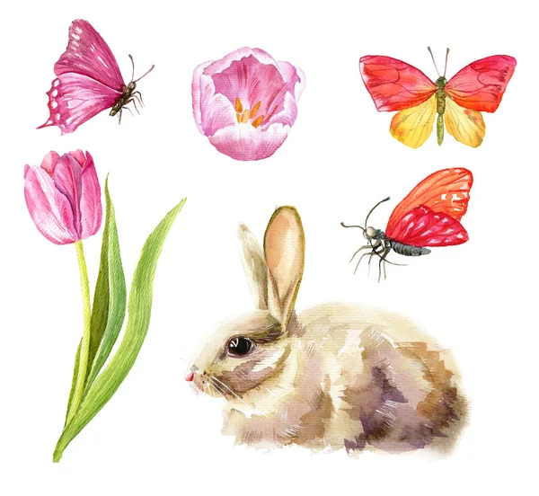 Feliz Primavera Ilustración Con Conejo Tulipanes Acuarela Ilustración Alta Calidad — Foto de Stock
